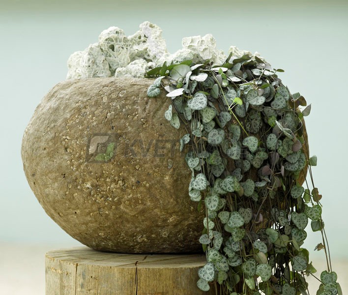 Luxusní květináče - Polystone Rock Findling 50x43x25cm