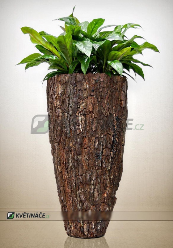 Luxusní květináče - Scorza Pinus Partner 53x110cm