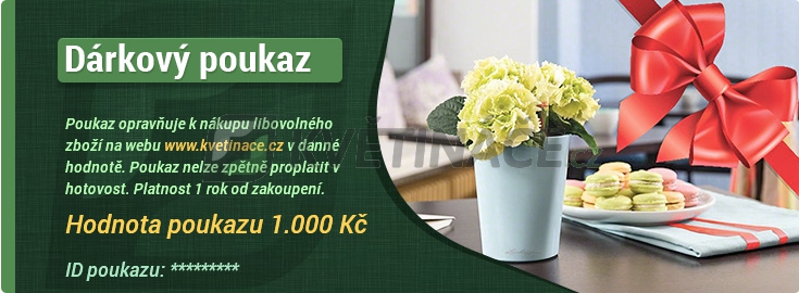 Doplňky - Dárkový poukaz - 1000Kč
