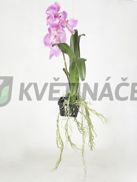 Umělé květiny - Umělá Orchidej Vanda Purple 50cm