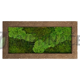 Zelené stěny - Mechový obraz rock 100x50cm 50%silver+50%flat mechu