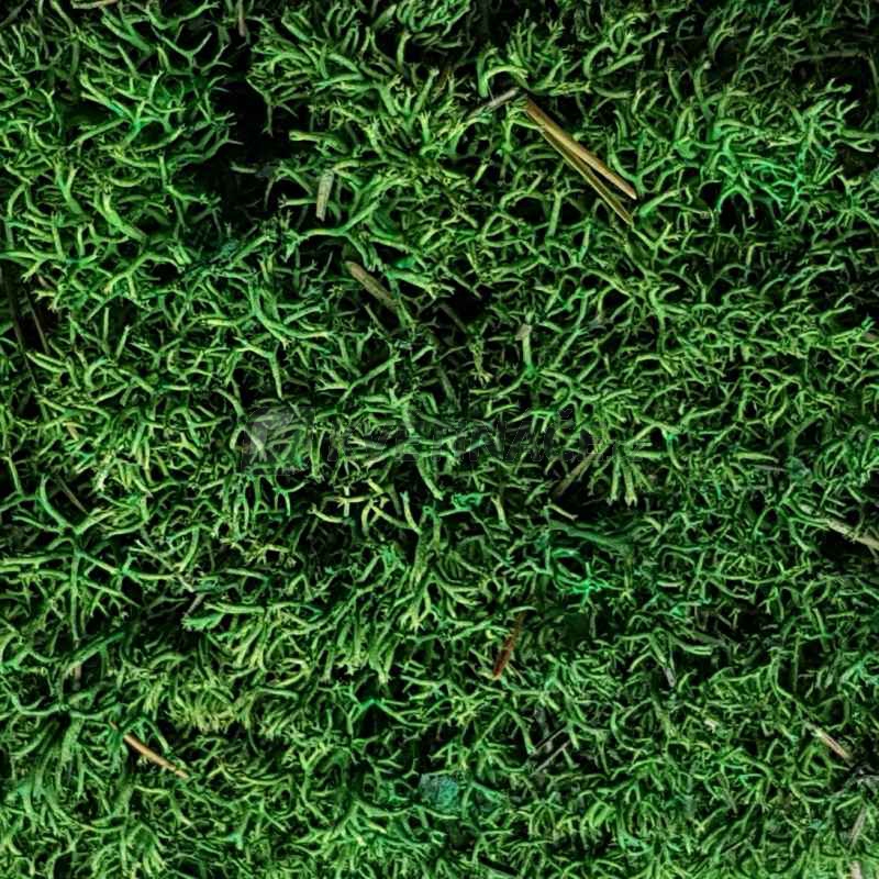 Zelené stěny - Stabilizovaný mech Silver Ball moss 1 m2