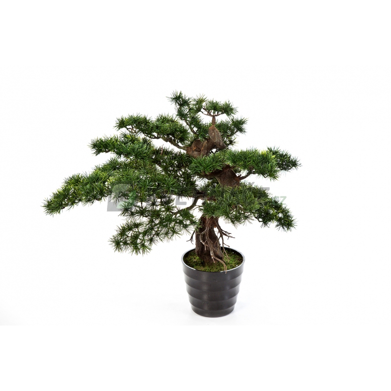 Umělé květiny - Umělá bonsaj pinus 65cm