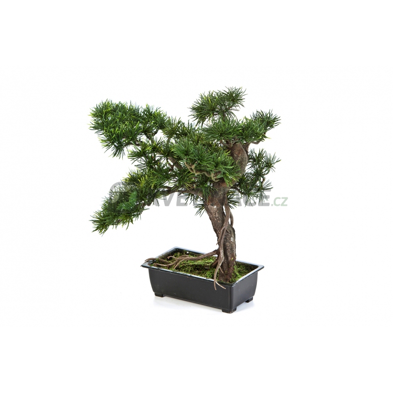 Umělé květiny - Umělá bonsaj pinus 38cm
