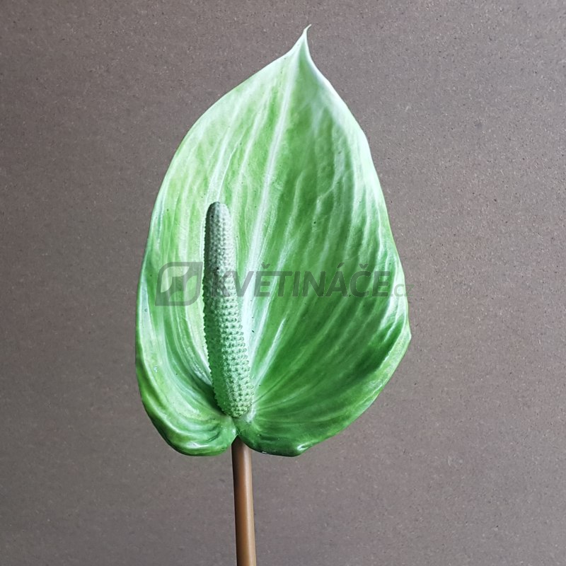 Umělé květiny - Umělý růžově-zelený květ Anthurium 85cm