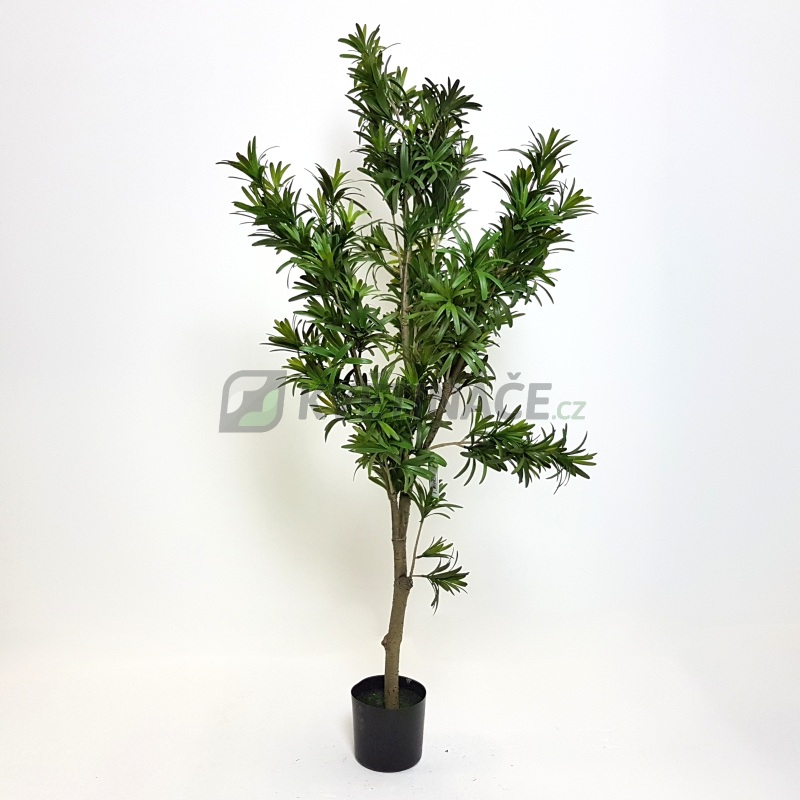 Umělé květiny - Umělý Podocarpus 120cm