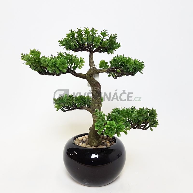 Umělé květiny - Umělá bonsaj Pilea 34cm