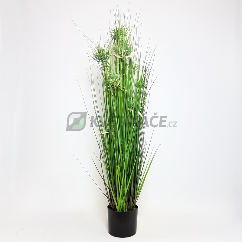 Umělé květiny - Umělá tráva Onion star 80cm