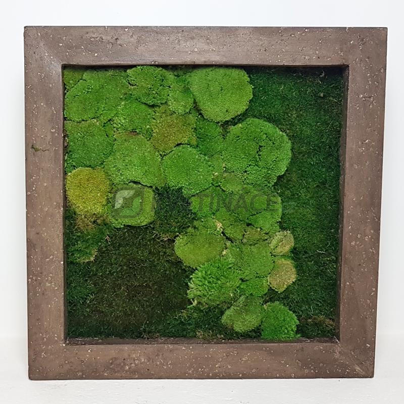 Zelené stěny - Mechový obraz rock 70x70cm 50%ball+50%flat mechu