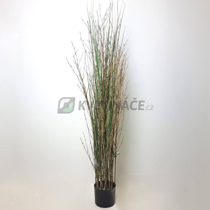 Umělé květiny - Grass Plant Bamboo 180cm