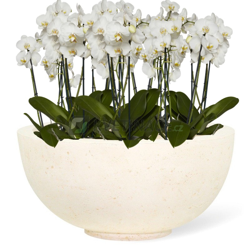 Venkovní květináče - Ego Plus Creme 50x22cm