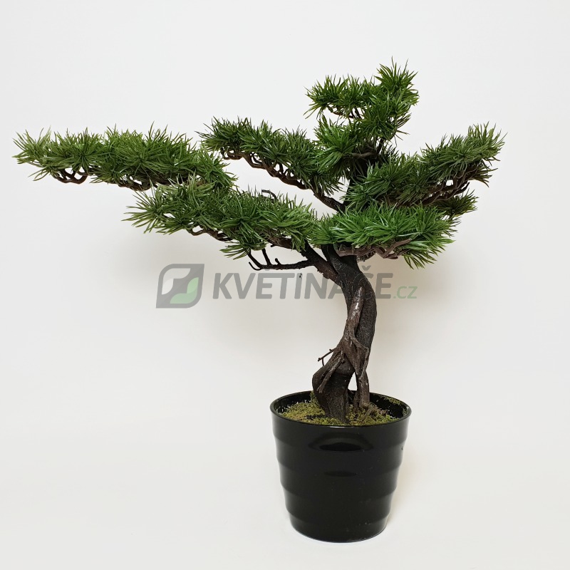 Umělé květiny - Umělá bonsaj pinus 47cm