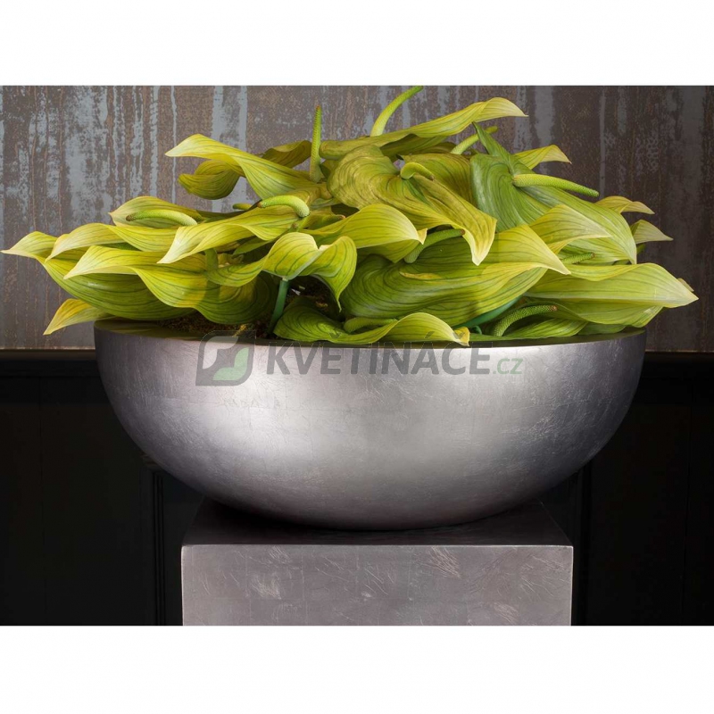 Luxusní květináče - Royal mísa titan grey 55x18cm