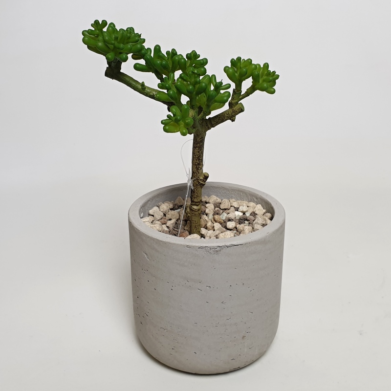 Umělé květiny - Umělá crassula 18cm