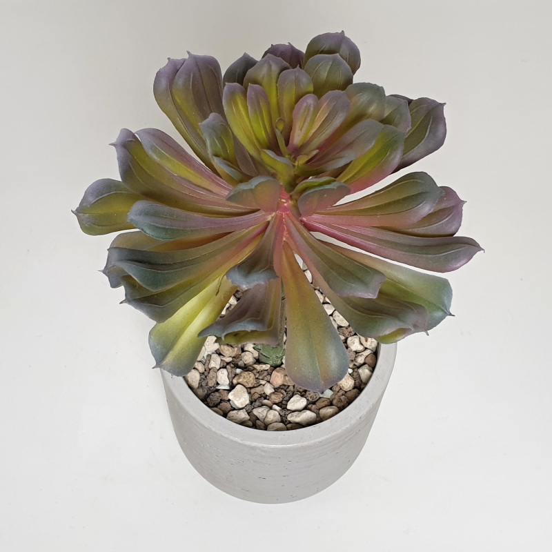 Umělé květiny - Umělá Echeveria old pink 22cm