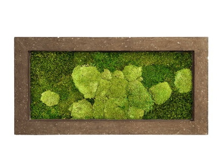 Zelené stěny - Mechový obraz rock 100x50cm 50%ball+50%flat mechu