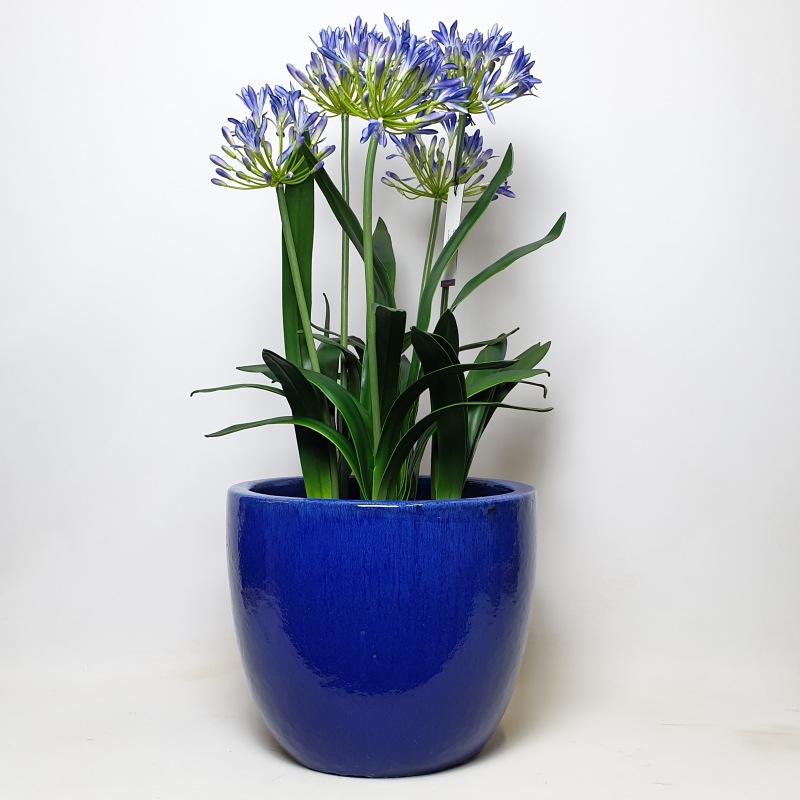 Keramické květináče - Blue Couple Extra 39x34cm