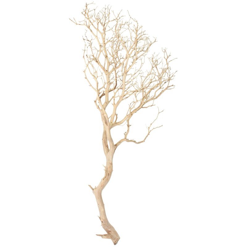 Dekorace - Manzanita natural 210cm