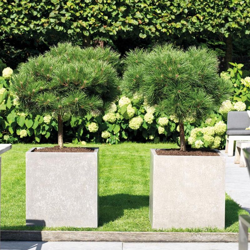 Venkovní květináče - Division Plus Square natural 50x50x54cm