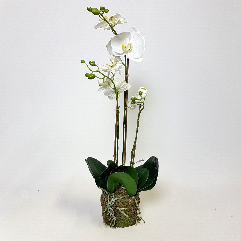 Umělé květiny - Umělá Orchidej White 3 st. 70cm