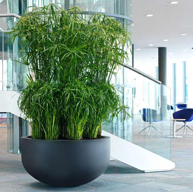 Venkovní květináče - Fiberstone City Black 128x68cm