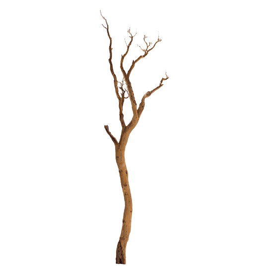 Dekorace - Manzanita natural 390cm