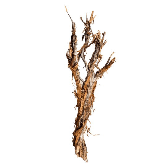 Dekorace - Dekorativní dřevěná větev Raw 170cm