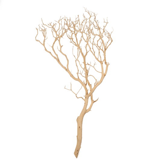 Dekorace - Manzanita natural 90cm