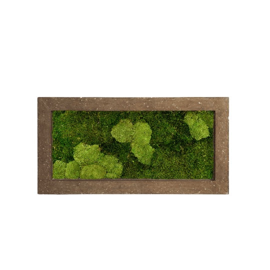 Zelené stěny - Mechový obraz rock 100x50cm 30%ball+70%flat mechu