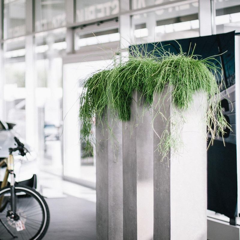 Venkovní květináče - Division Plus natural 23x23x114cm