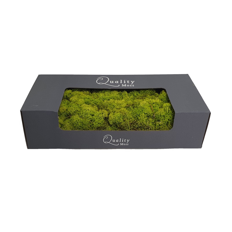 Zelené stěny - Stabilizovaný Norský mech žluto-zelený 500g