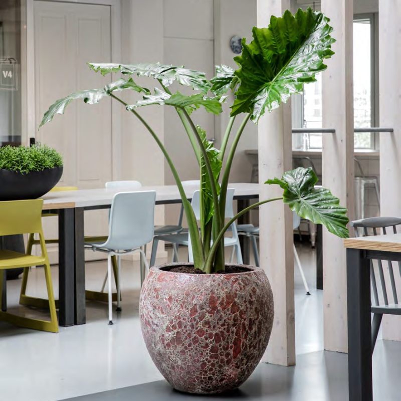 Keramické květináče - Lava premium koule pink 54x50cm