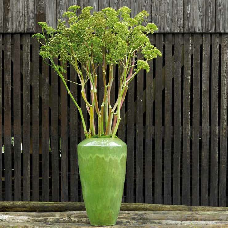 Výprodej květináčů - Lime Coppa 50x68cm