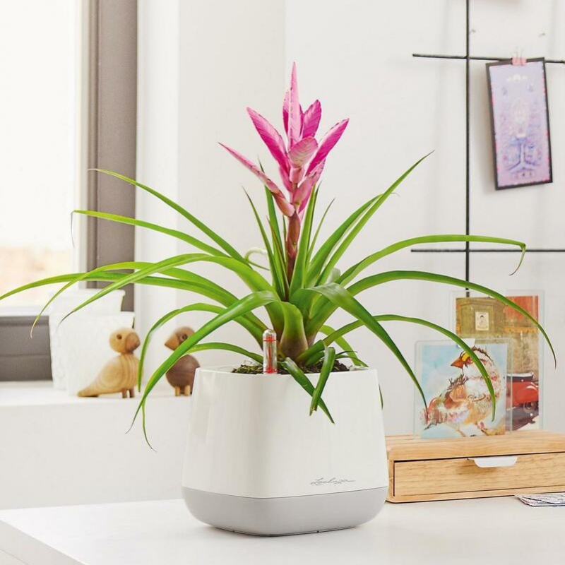 Lechuza květináče - Lechuza Yula Trend bílo-šedý komplet