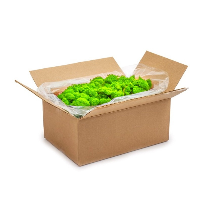 Zelené stěny - Stabilizovaný mech Island světle zelený 500g