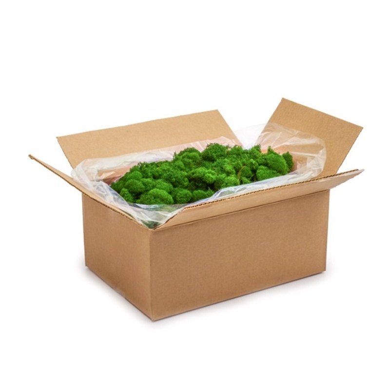 Zelené stěny - Stabilizovaný mech Island Cladonia tmavě zelený 500g