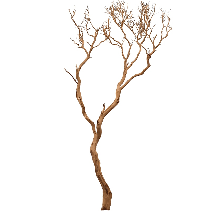 Dekorace - Manzanita natural 300cm