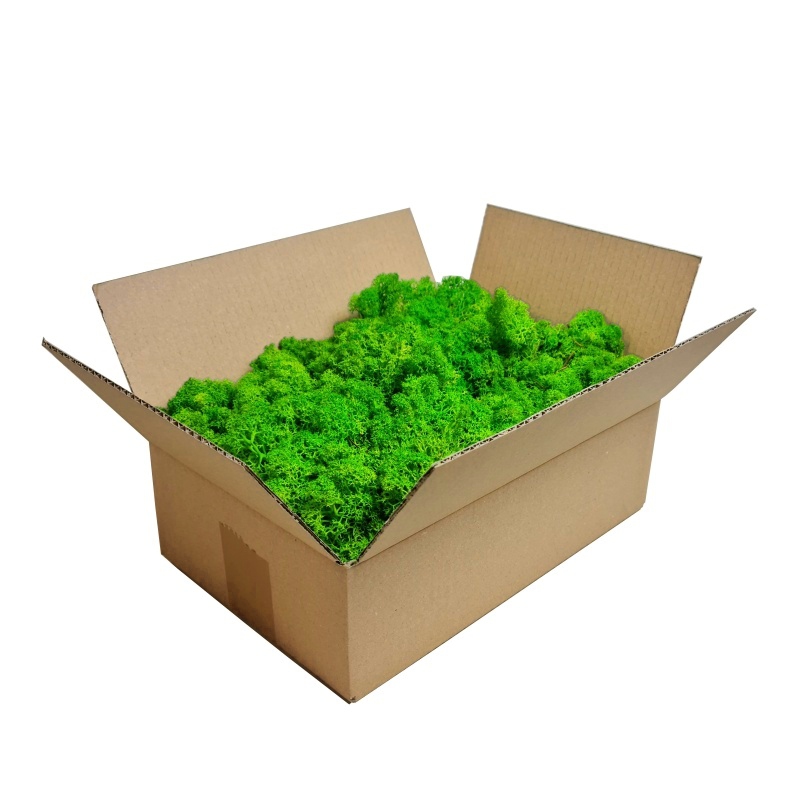 Zelené stěny - Stabilizovaný mech Norský Light Green - 25x25cm