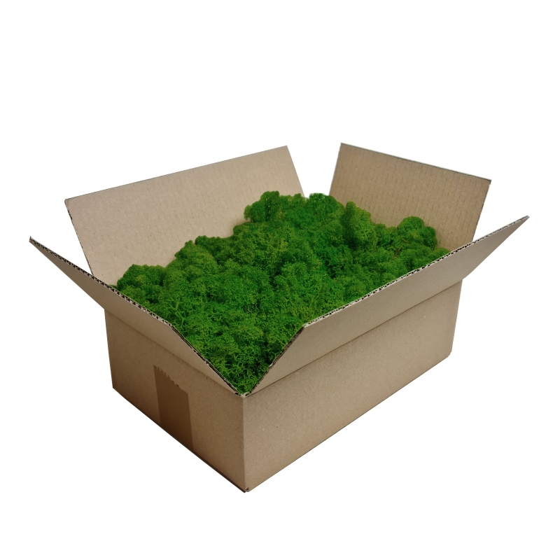 Zelené stěny - Stabilizovaný mech Norský Green - 25x25cm