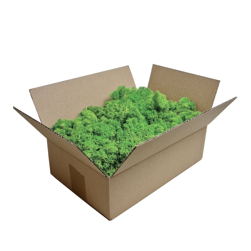 Zelené stěny - Stabilizovaný mech Norský Medium Green - 25x25cm