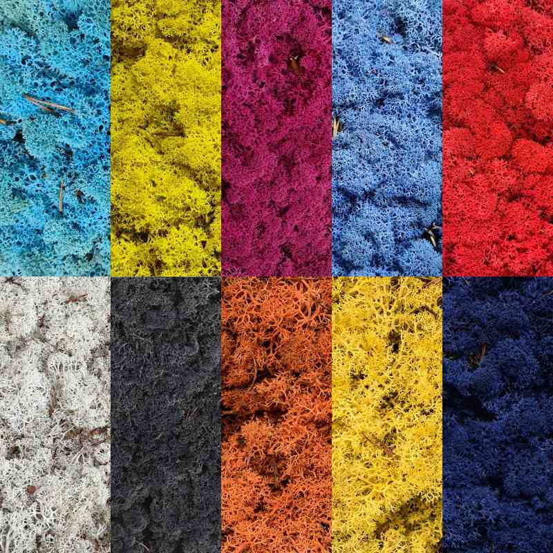 Zelené stěny - Vzorník barevných stabilizovaných mechů