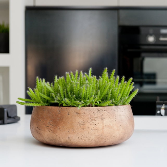 Ostatní květináče - Eco-line Bonsai mísa Copper 35x13cm