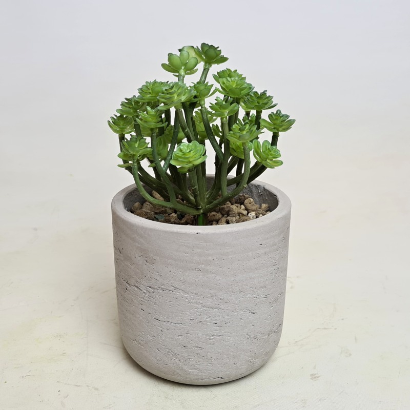 Umělé květiny - Umělý sukulent 15cm