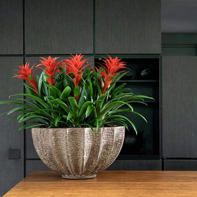 Luxusní květináče - Polystone Rock Bowl 60x30cm