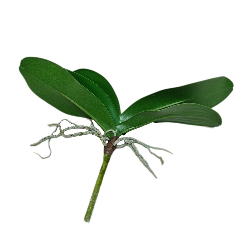 Umělé květiny - Umělé listy orchidejí 30cm