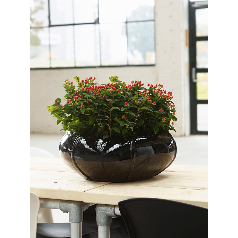 Keramické květináče - Moda Bowl Black 55x22cm