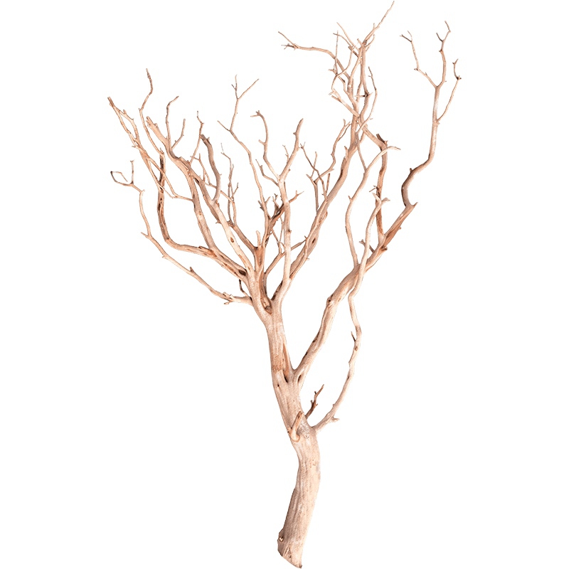 Dekorace - Manzanita NEW natural 90cm