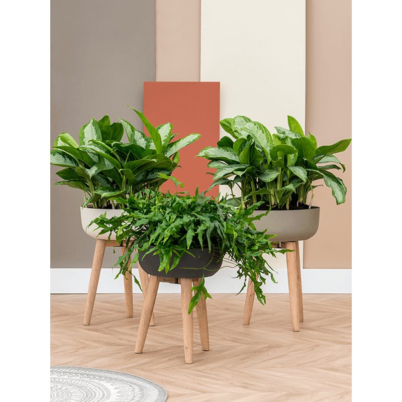 Luxusní květináče - Retro květináč Argon White 36x48cm