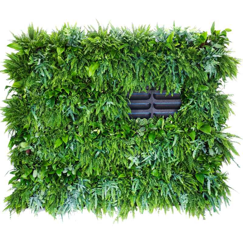 Zelené stěny - Zelená stěna LivePanel Pack 6x4 - 248x206cm