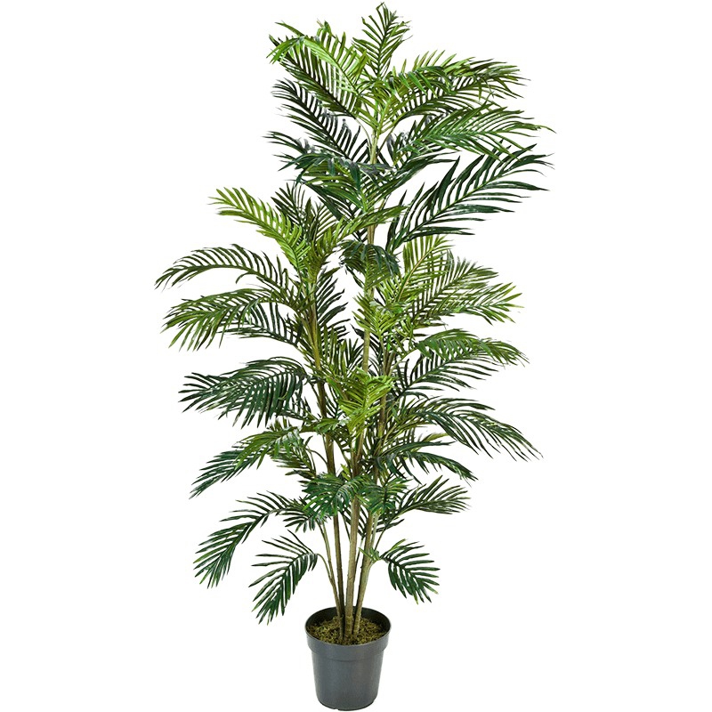 Umělé květiny - Umělá Areca 180cm